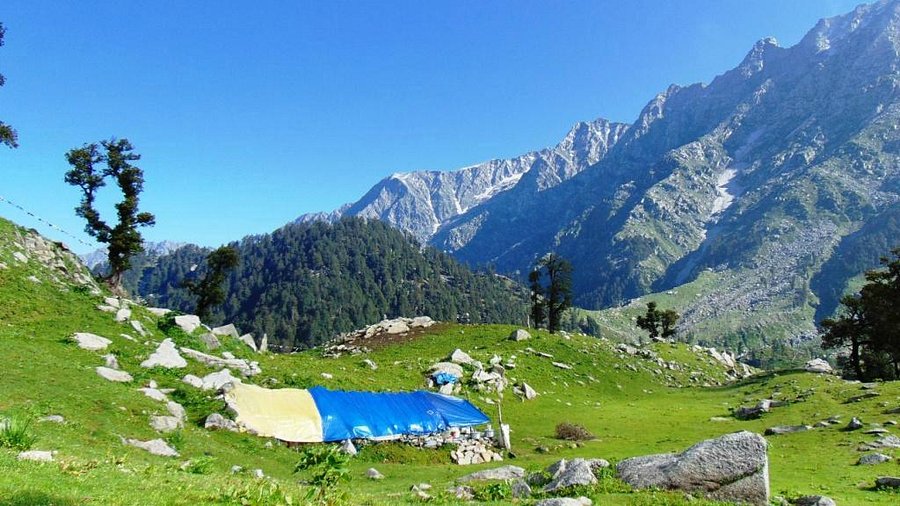 Triund Trek in Dharamshala